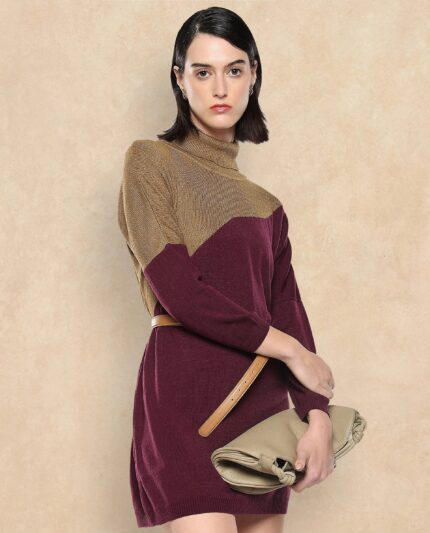 Rareism Women Spaton Maroon Plain Crew Neck Plain Sweater